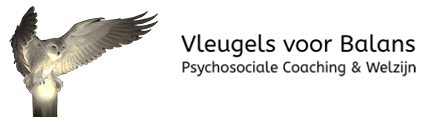 Vleugels voor Balans