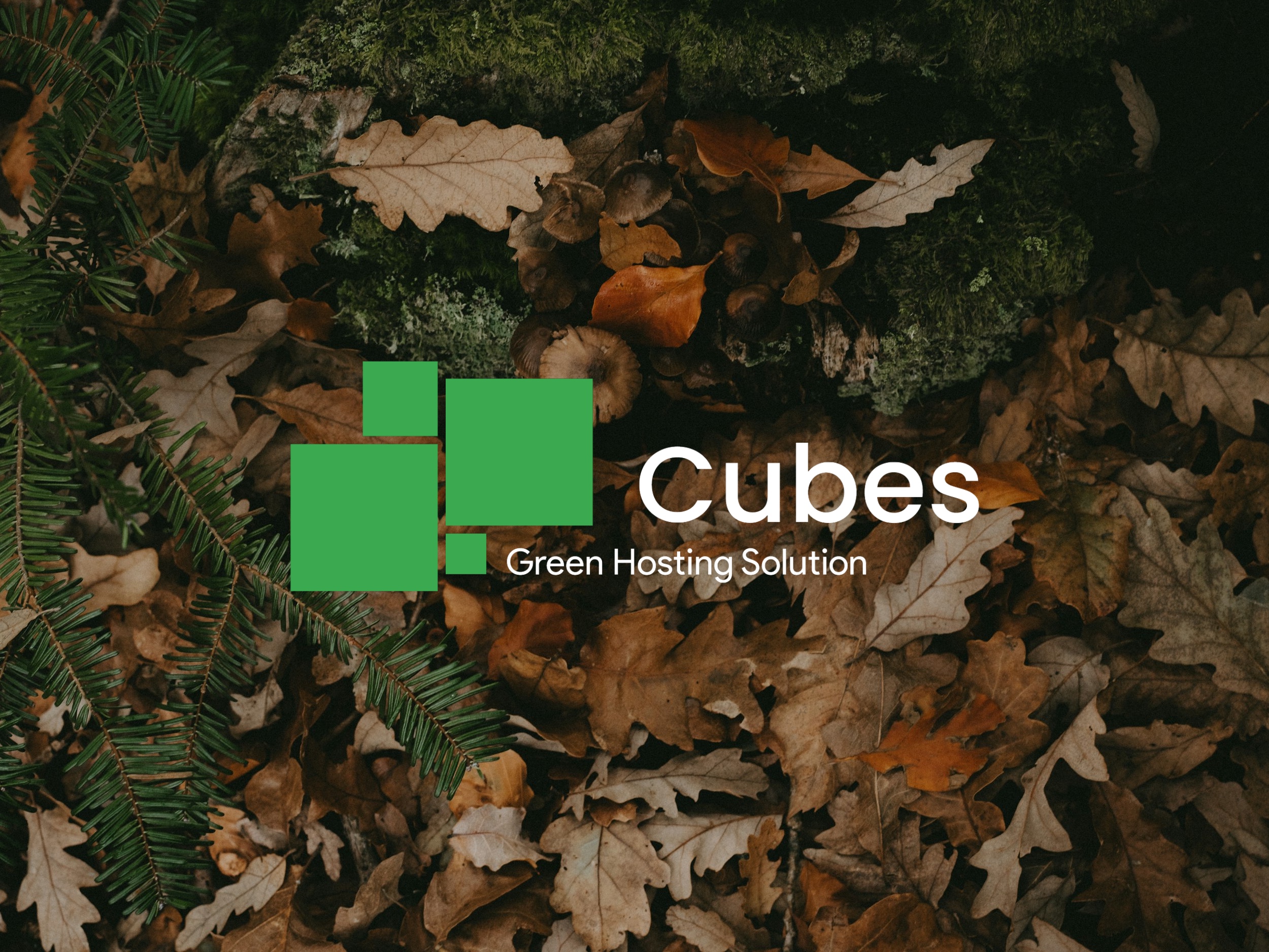 Logo voor Cubes Hosting