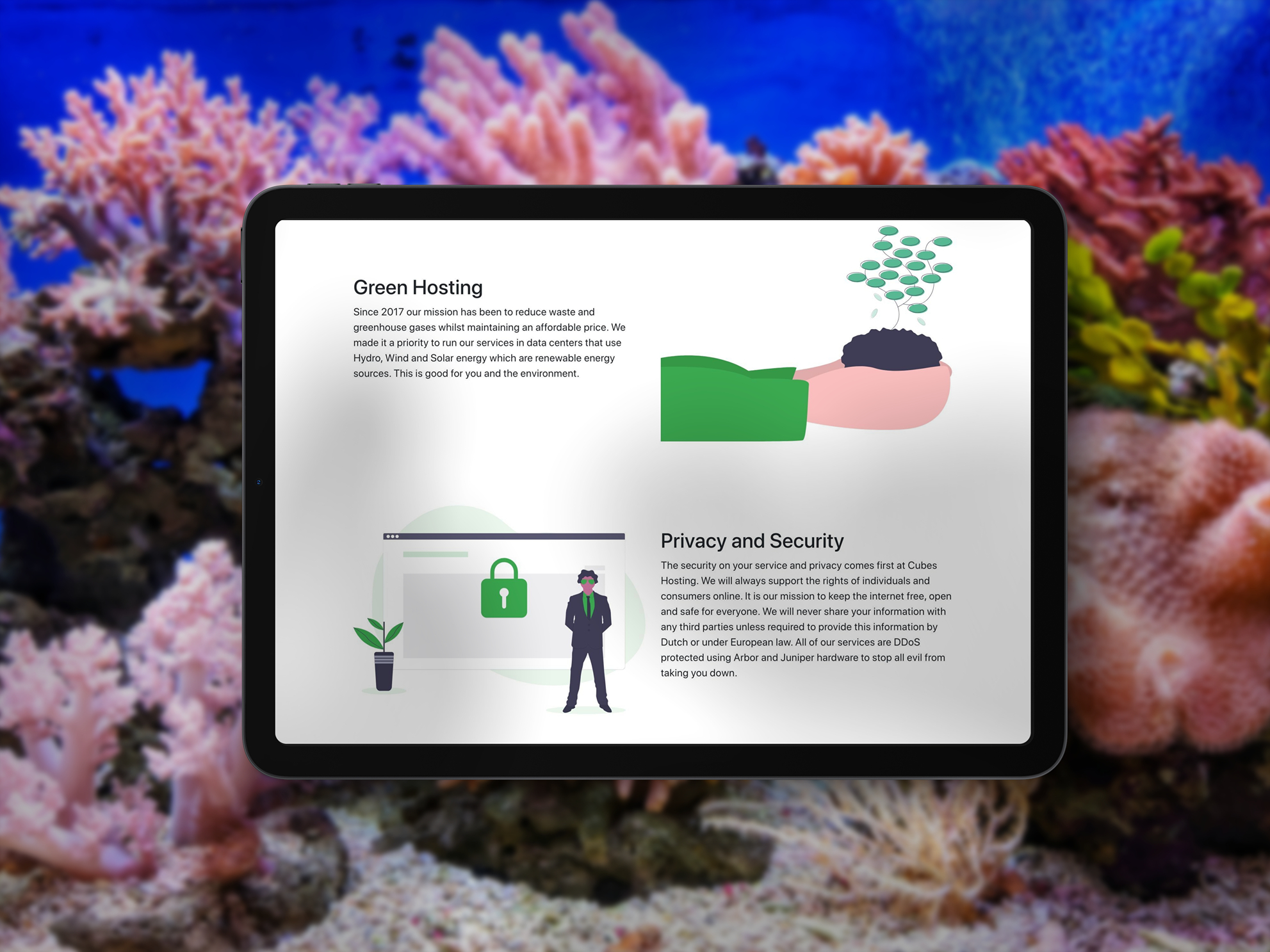 Cubes Hosting project afbeelding 1