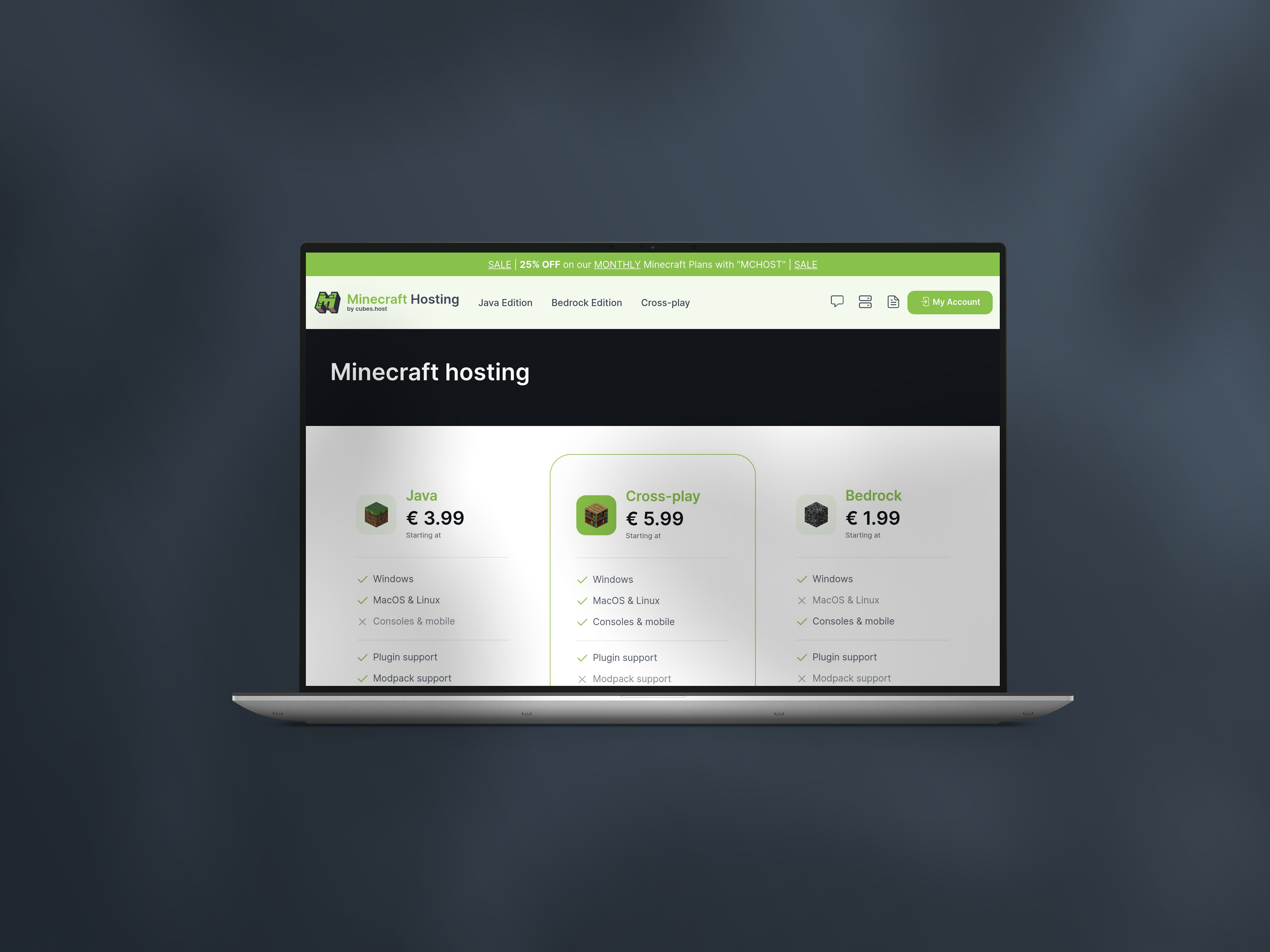 Minecraft Hosting project afbeelding 1