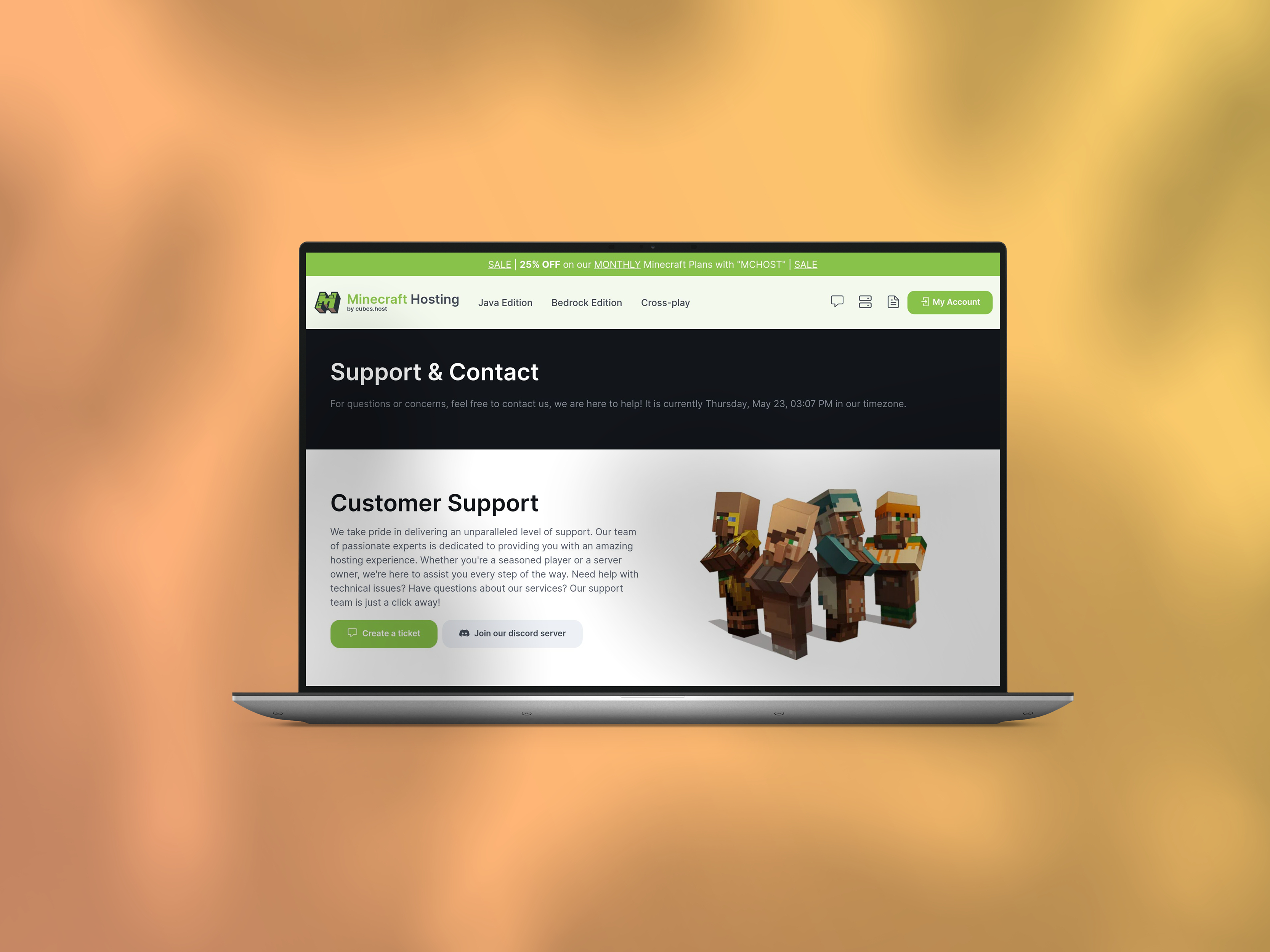 Minecraft Hosting project afbeelding 2