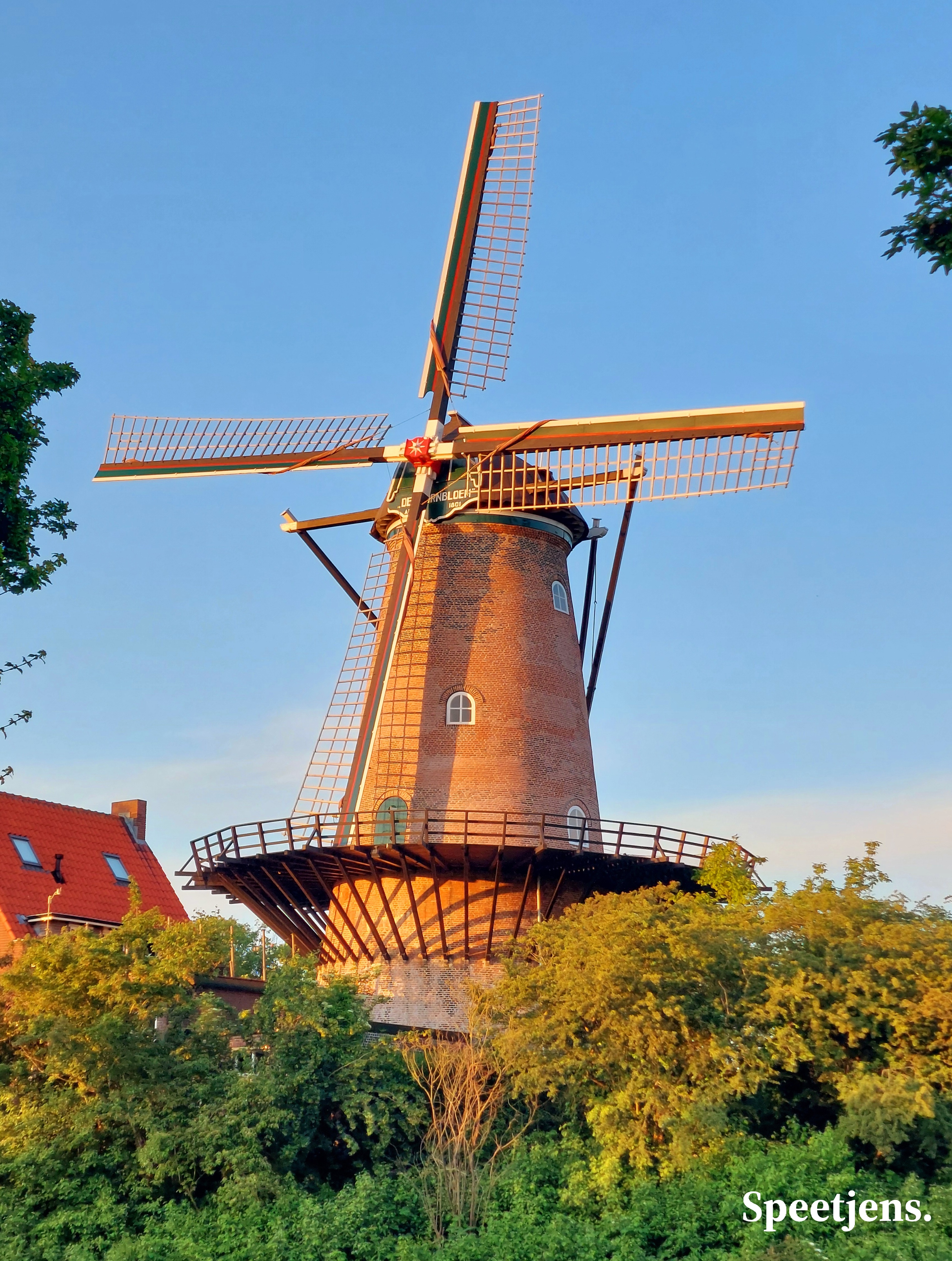 Molen de Koornbloem in Goes